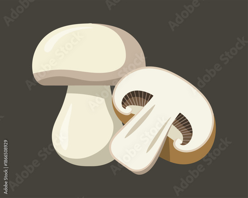 Fresh button mushroom whole and cross section illustration food ingredient design element