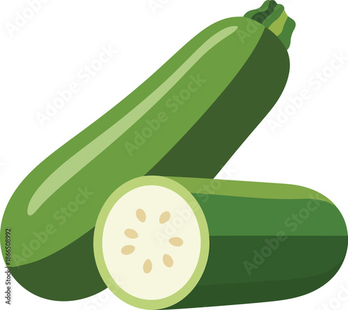 Green zucchini squash vegetable for healthy eating illustration isolated on transparent background