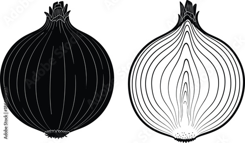 Onion whole and sliced silhouettes with detailed layers, fresh vegetable anatomy illustration, black and white food vector design isolated