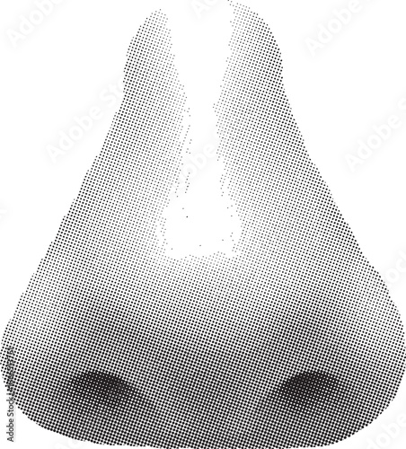 Detailed anatomical illustration of a human nose presented in a frontal view with distinct nostrils