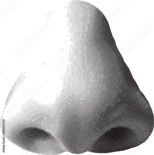 Detailed black and white illustration depicting the structure of a human nose