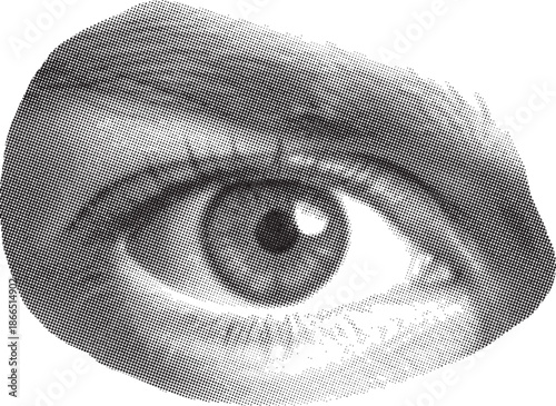 Realistic eye illustration in black and white isolated on white background, Vector, illustration