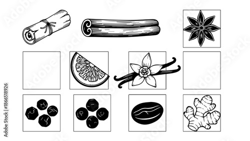 Assorted spices and ingredients isolated on white background, Vector