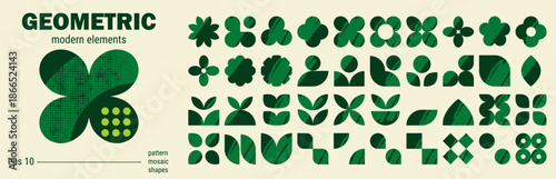 Y2k graphic leaf geometry icon with basic flower shapes and abstract