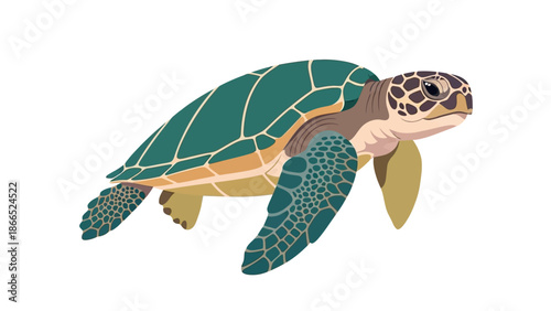 Sea Turtle Illustration - Marine Animal, Ocean Life, Underwater Creature