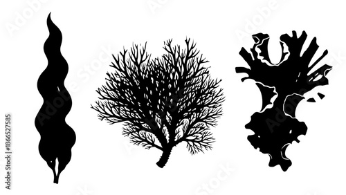 Abstract silhouettes of nature isolated on white background, Vector