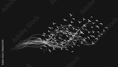 Flock Of Birds Flying Together On White Wave Lines On Black Background