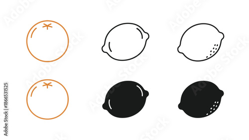 Line art and solid shapes of citrus fruits a striking silhouette