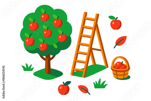 Apple Orchard Scene. Isometric vector illustration set Apple Orchard Ladder: orchard scene, ladder against fruit-laden tree,