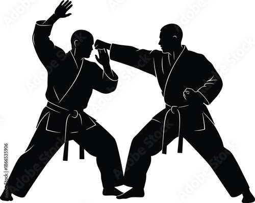 "Silhouette of two martial artists fighting in action, karate fight, training, self-defense, combat, sport, dynamic pose, athletic movement"