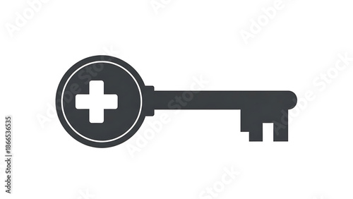 A medical key icon with a cross symbol on a white background