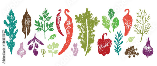 Spice vector set with hand drawn sketch crayon vegetables and herbs including ginger, parsley, rosemary, basil, garlic, paprika, pepper, arugula and olive, watercolor doodle food background