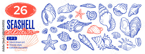 Sea shell icons. Seashell summer Mediterranean beach doodle vector. Whimsical sea starfish, shell hand drawn illustration. Seashell drawing bg. Ocean outline sketch icon set. Line marine coastal art