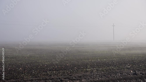Morning Fog Over Plowed Field With Wooden Power Pole, 4K