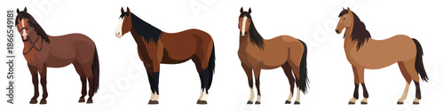 horse animal mammal equine domesticated Flat Vector Illustration on Transparent Background