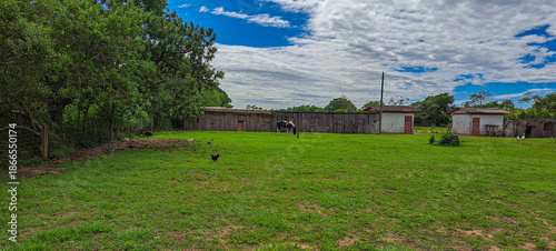 Photos sítio com animais