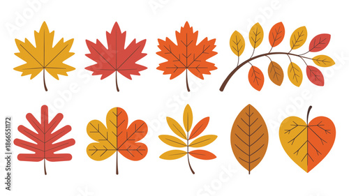 Assortment of Stylized Autumn Leaves in Warm Colors on White Background Keywords: autumn, fall, leaves, stylized, colorful, nature, foliage, botanical, design element, graphic, illustration