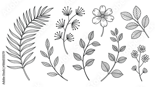 Hand Drawn Black and White Botanical Elements with Leaves and Flowers on White Background Keywords: hand drawn, botanical, illustration, black and white, line art, leaves, flowers, branches, fern