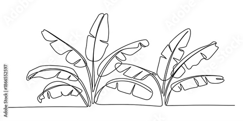 Single continuous line drawing of banana plants_ a tropical nature illustration Vector, illustration