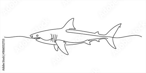 Single continuous line drawing of a shark swimming near the surface of the water, minimalist style Vector, illustration
