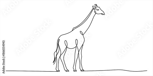 Continuous line drawing of a giraffe standing on a plain white background Vector, illustration