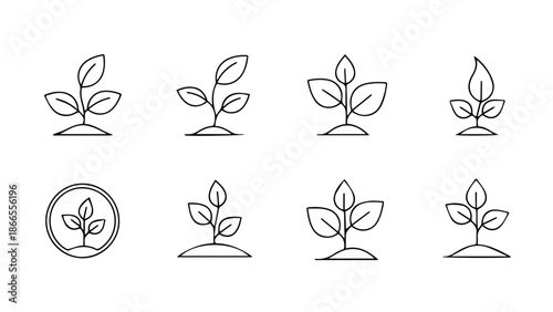 Illustration of plant growth stages isolated on white background, Vector