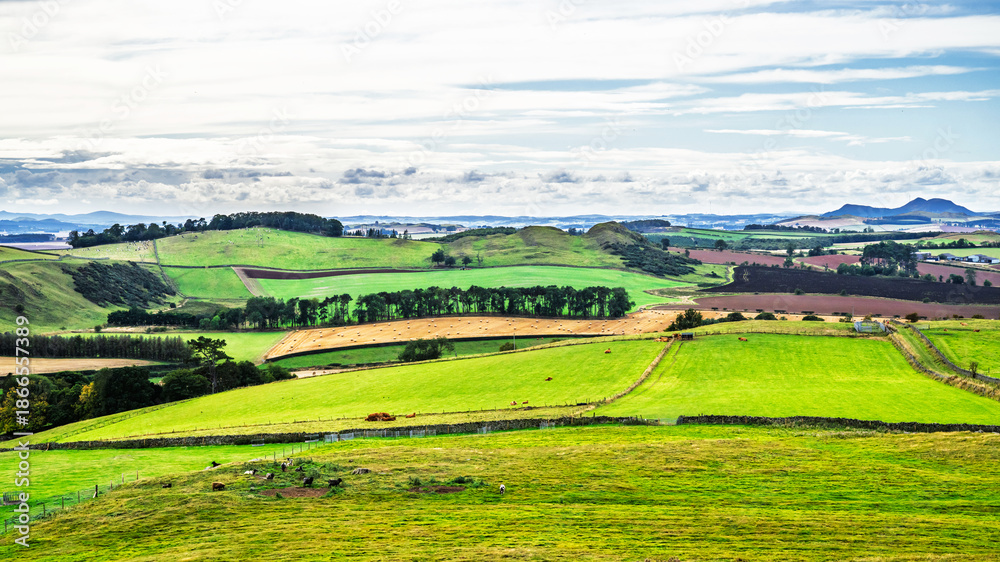 Obraz premium Scotish fields and farms, Southeast Scotland, UK