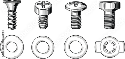 Detailed screws and washers hardware illustration set showing bolts, fasteners, and metal components in vintage black and white line art