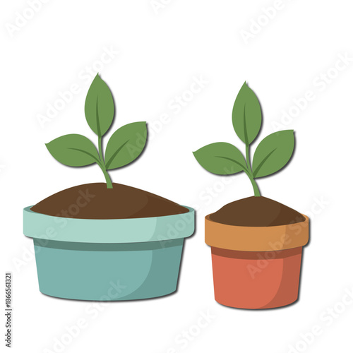 Young Plants in Colorful Pots