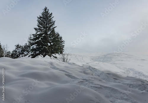 Tableau sur toile Paesaggi con la neve in appennino a fine dicembre