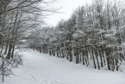 Foto Paesaggi con la neve in appennino a fine dicembre