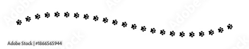 Photography Path of wet or mud paw prints of dog, cat, tiger or raccoon