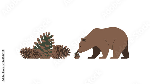 Bear Finds Pinecone Illustration Isolated On White Background Flat Design