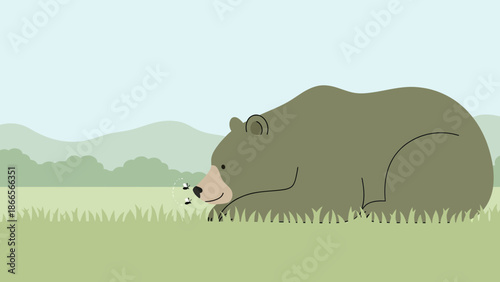 Bear Watching Flies In A Green Meadow With Mountain Silhouette Backdrop