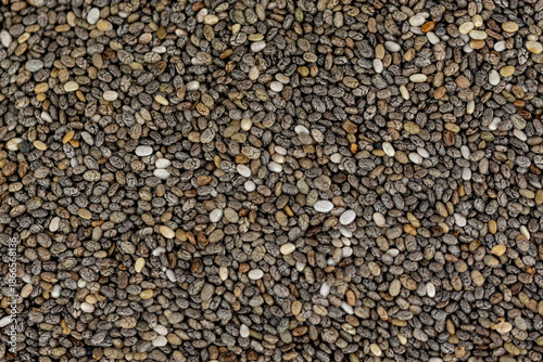 the fresh young chia seeds