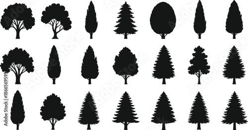 Tree silhouettes collection, various forest types, pine and deciduous shapes, black vector nature elements set, isolated botanical icons