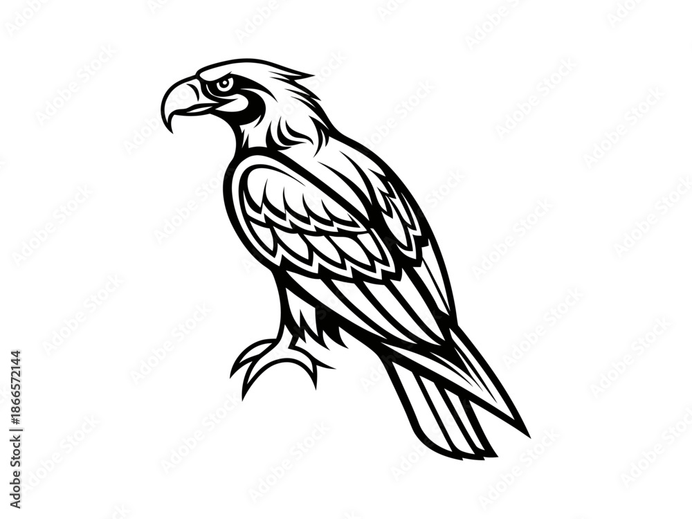 Obraz premium eagle vector illustration