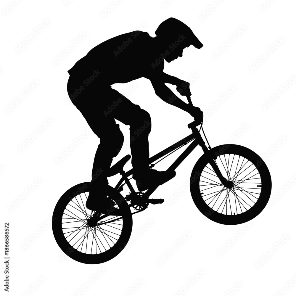 Obraz premium Professional cyclist in action on a bicycle