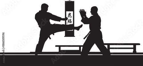 Two martial artists engaged in combat a dynamic black silhouette