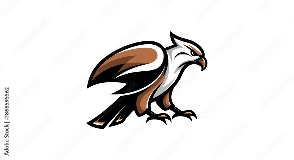 Obraz premium Adobe Illustrator Artwork