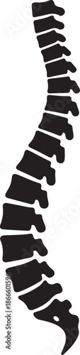 Minimalist black silhouette illustration of human spine depicting vertebrae and spinal column