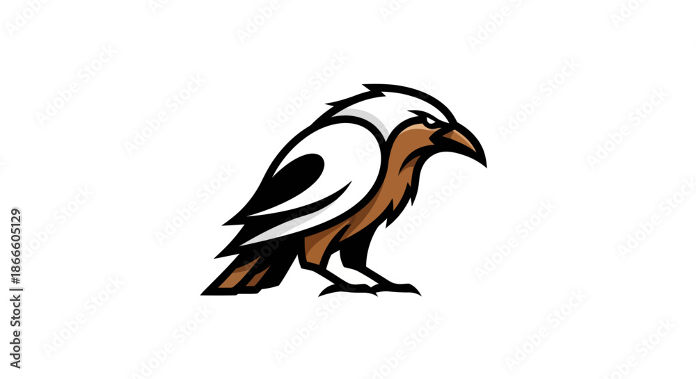 Obraz premium Adobe Illustrator Artwork