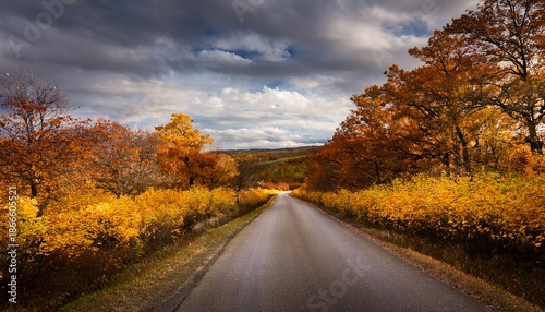 Narrow Road Surrounded By A Forest Covered In Yellowing Plants Under A Cloudy Sky In Autumn Generative Ai