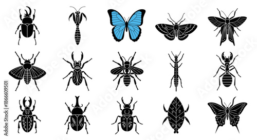 Collection of various insects including beetles butterflies and wasps