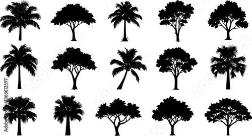 silhouette tree line drawing set, Side view, set of graphics trees elements outline symbol for architecture and landscape design drawing. Vector illustration in stroke fill in white. Tropical 