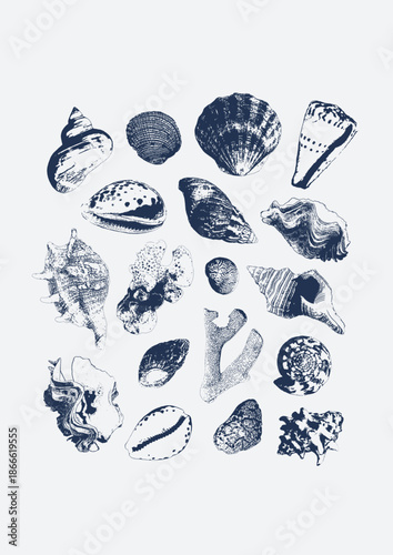 Vector tropical underwater style poster of seashells and corals collection Isolated on white background. Card for interior design, prints, fabric or background.