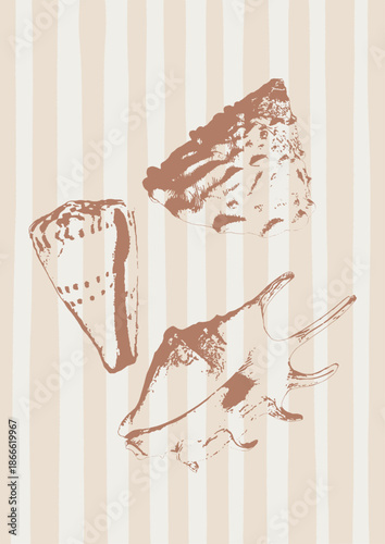 Vector tropical underwater style poster of seashells collection Isolated on beige background. Card for interior design, prints, fabric or background.