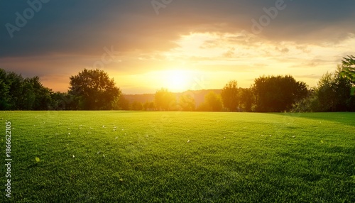 Summer Lawn At Sunset