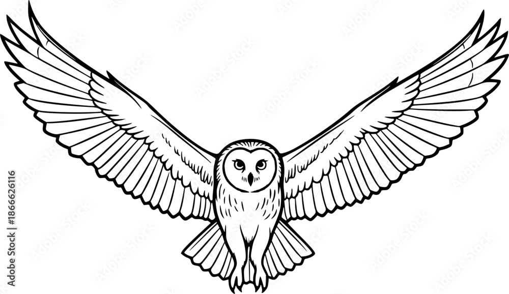 Fototapeta premium 墨と筆が描くフクロウの飛翔 