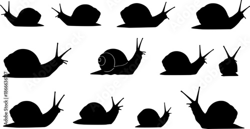 Collection of black snail silhouettes on white background
